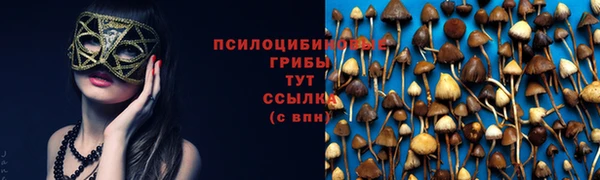 гидра Арсеньев
