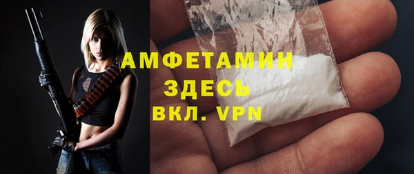 гидра Арсеньев