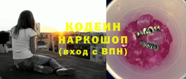 гидра Арсеньев