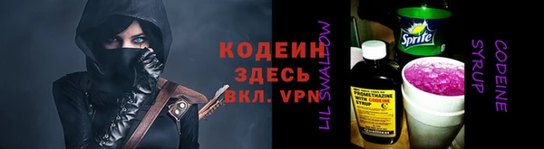 гидра Арсеньев