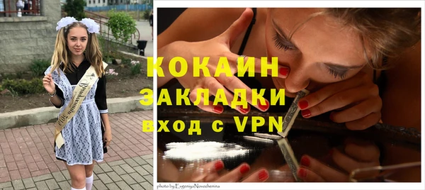 гидра Арсеньев